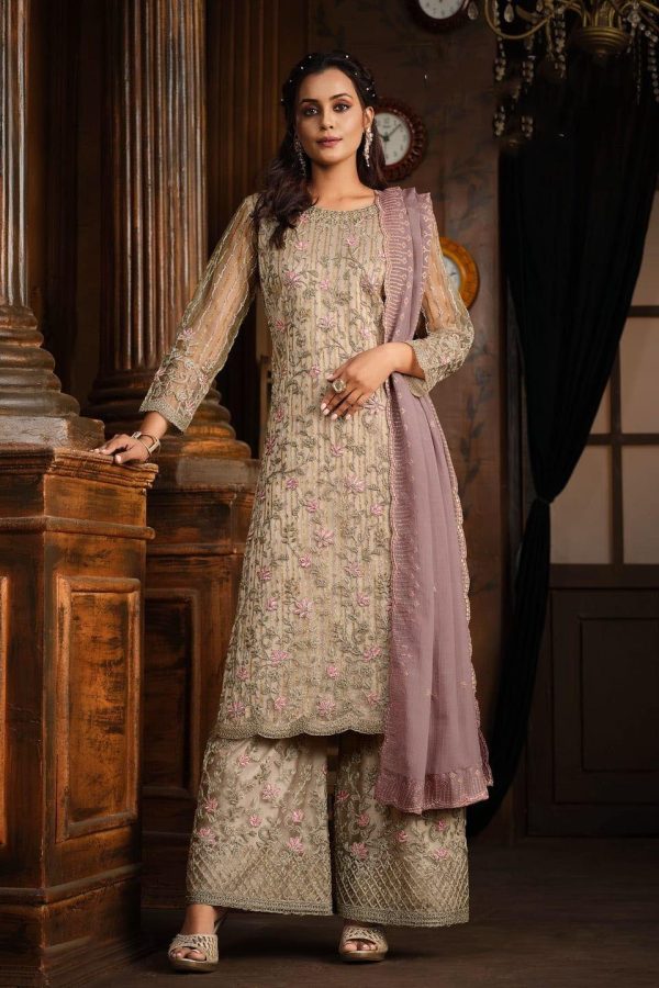 Classic Grey Color Net With Coding Sequence Work Salwar Suit