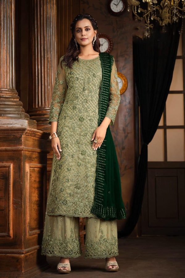 Classic Pista Color Net With Coding Sequence Work Salwar Suit