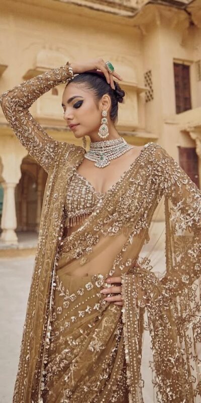 DF 3441 Chiku Color Mono Net Heavy 5mm Sequins Embroidery Work Saree Casual, Wedding, Festive, Events . Expected Delivery 4-6 Working Days @1799/- only | Bollywood Sarees, Creative Sarees, Designer Sarees, Embroidered Sarees, Ethnic Saree, Modern Digital sarees, Party Wear Sarees, Sarees