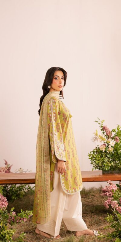 VLM 295 Mustard Crap Salwar Suit Perfect for Wedding, Party, Makar Sankranti, Housewarming, Reception – . Festive Deal ₹2069. Delivery 4-6 Working Days | Designer Suits, Jump Suits, Casual Suits, Creative suits, Palazzo Suits, Party Wear Suits, Patiala Suits, Salwar suit, Straight Suits