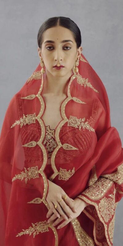 DF Queen Red Organza Tissue Saree with Sequins Work & Embroidery. Festive Deal ₹2499. Delivery 4-6 Working Days. Shop now. | Bollywood Sarees, Creative Sarees, Designer Sarees, Embroidered Sarees, Ethnic Saree, Modern Digital sarees, Party Wear Sarees, Sarees