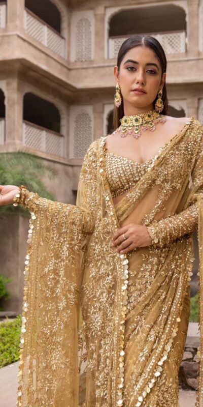 BT 388 Chiku Nylon Butterfly Net Saree with Lace Border & Lace Work. Exclusive Offer ₹1774. Delivery 4-6 Working Days. Shop now. | Bollywood Sarees, Creative Sarees, Designer Sarees, Embroidered Sarees, Ethnic Saree, Modern Digital sarees, Party Wear Sarees, Sarees