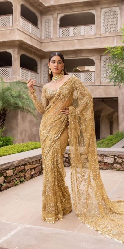 BT 388 Chiku Nylon Butterfly Net Saree with Lace Border & Lace Work. Exclusive Offer ₹1774. Delivery 4-6 Working Days. Shop now. | Bollywood Sarees, Creative Sarees, Designer Sarees, Embroidered Sarees, Ethnic Saree, Modern Digital sarees, Party Wear Sarees, Sarees