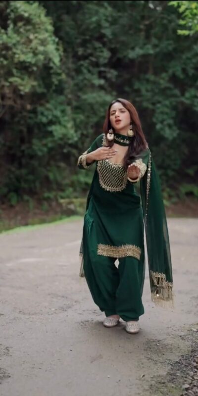 RTC 5978 Green Color Georgette Salwar Suit with Embroidery Work. Introductory Price ₹1949. Delivery 4-6 Working Days. Shop now. | Jump Suits, Straight Suits, Casual Suits, Creative suits, Designer Suits, Palazzo Suits, Party Wear Suits, Patiala Suits, Salwar suit