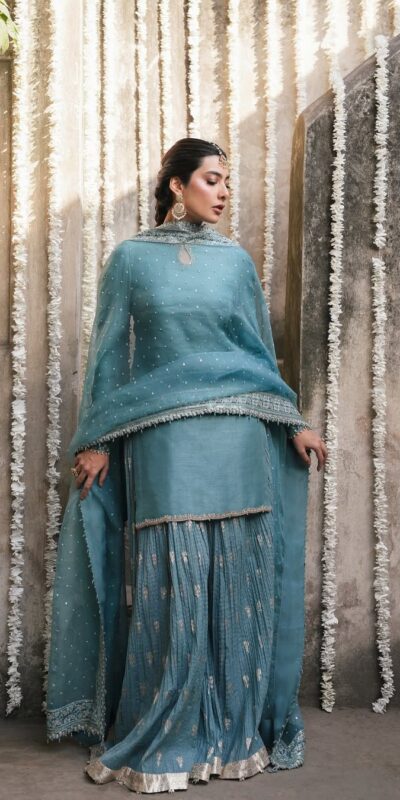 MT 1067 Sky Blue Sky Georgette Salwar Suit Perfect for Wedding, Party, Engagement, Pooja, Ganesh Chaturthi – . Grab it for ₹2449. Delivery 4-6 Wor | Jump Suits, Straight Suits, Casual Suits, Creative suits, Designer Suits, Palazzo Suits, Party Wear Suits, Patiala Suits, Salwar suit