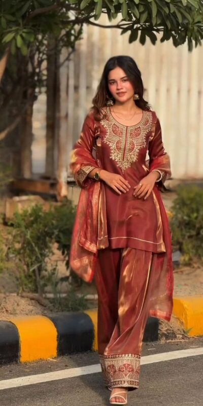 NF 1285 Rust Fandy Silk Salwar Suit with Lace Work & Embroidery Work. Introductory Price ₹2149. Delivery 4-6 Working Days. Shop now. | Jump Suits, Straight Suits, Casual Suits, Creative suits, Designer Suits, Palazzo Suits, Party Wear Suits, Patiala Suits, Salwar suit