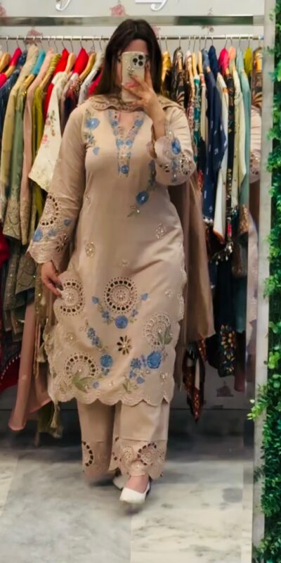 VLM 343 Chiku Roman Salwar Suit with Cut Work & Embroidery Work. Exclusive Offer ₹2449. Delivery 4-6 Working Days. Shop now. | Jump Suits, Straight Suits, Casual Suits, Creative suits, Designer Suits, Palazzo Suits, Party Wear Suits, Patiala Suits, Salwar suit