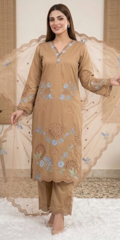 VLM 343 Chiku Roman Salwar Suit with Cut Work & Embroidery Work. Exclusive Offer ₹2449. Delivery 4-6 Working Days. Shop now. | Jump Suits, Straight Suits, Casual Suits, Creative suits, Designer Suits, Palazzo Suits, Party Wear Suits, Patiala Suits, Salwar suit