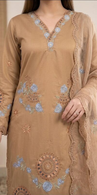 VLM 343 Chiku Roman Salwar Suit with Cut Work & Embroidery Work. Exclusive Offer ₹2449. Delivery 4-6 Working Days. Shop now. | Jump Suits, Straight Suits, Casual Suits, Creative suits, Designer Suits, Palazzo Suits, Party Wear Suits, Patiala Suits, Salwar suit