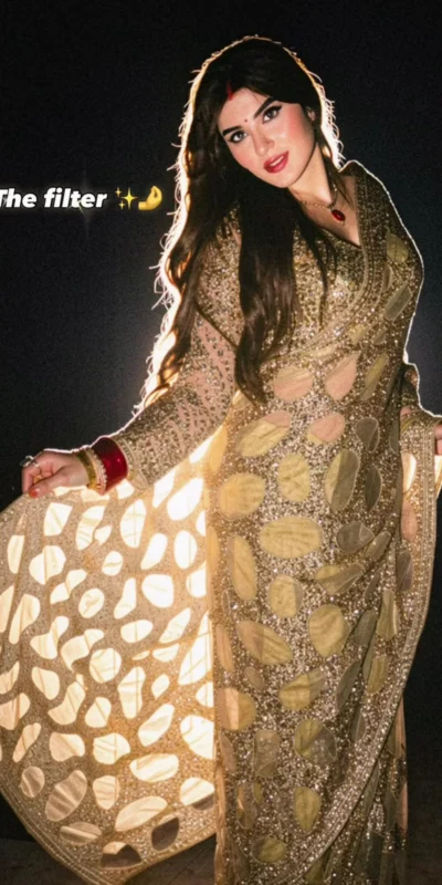 DF 3489 Golden Butterfly Net Saree Sequence with Work & Zari Work. Introductory Price ₹1899. Delivery 4-6 Working Days. Shop now. | Bollywood Sarees, Creative Sarees, Designer Sarees, Embroidered Sarees, Ethnic Saree, Modern Digital sarees, Party Wear Sarees, Sarees