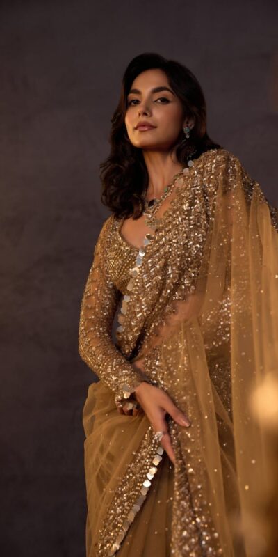 DF 3485 Chiku Butterfly Net Saree Sequence with Work & Zari Work. Introductory Price ₹1999. Delivery 4-6 Working Days. Shop now. | Bollywood Sarees, Creative Sarees, Designer Sarees, Embroidered Sarees, Ethnic Saree, Modern Digital sarees, Party Wear Sarees, Sarees
