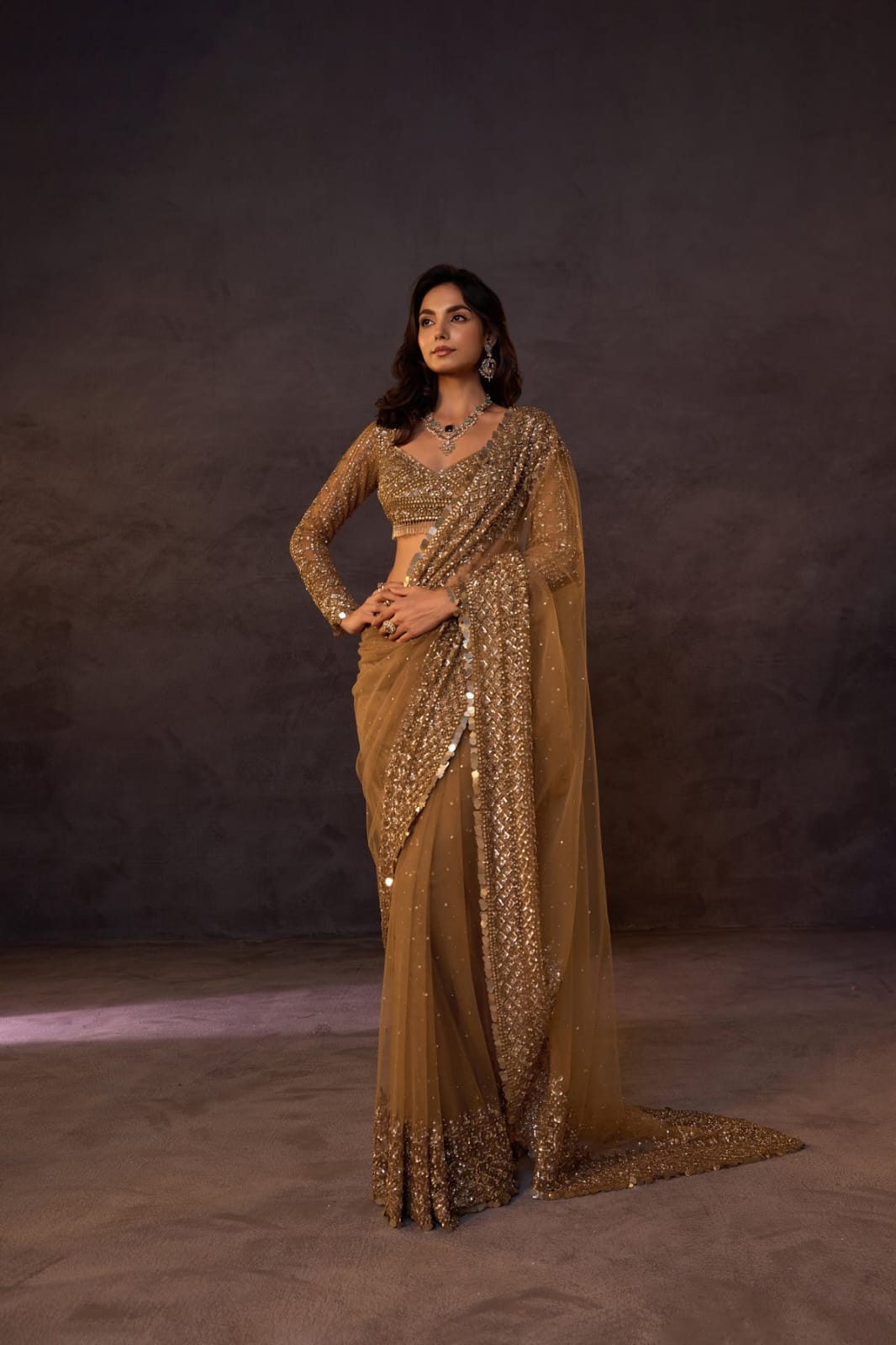 DF 3485 Chiku Butterfly Net Saree Sequence with Work & Zari Work. Introductory Price ₹1999. Delivery 4-6 Working Days. Shop now. | Bollywood Sarees, Creative Sarees, Designer Sarees, Embroidered Sarees, Ethnic Saree, Modern Digital sarees, Party Wear Sarees, Sarees