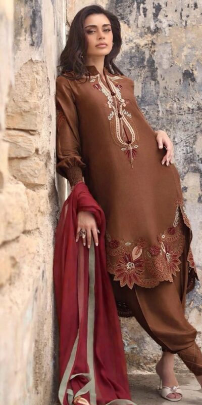 LG 2157 Rust Rust Gajji Silk Salwar Suit with Embroidery Work. Exclusive Offer ₹2849. Delivery 4-6 Working Days. Shop now. | Jump Suits, Straight Suits, Casual Suits, Creative suits, Designer Suits, Palazzo Suits, Party Wear Suits, Patiala Suits, Salwar suit