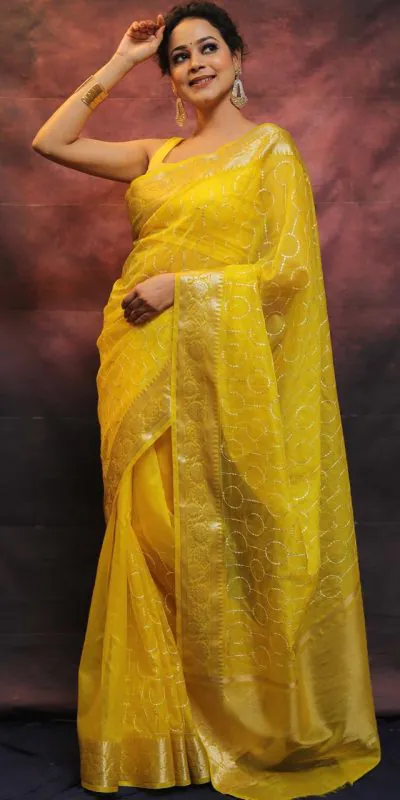 MS 438 Yellow Color Nylon Organza Jacquard Multi Embroidered Saree Casual, Party Wear, Wedding, Events, Etc. Expected Delivery 4-6 Working Days 1599/- | Bollywood Sarees, Creative Sarees, Designer Sarees, Embroidered Sarees, Ethnic Saree, Modern Digital sarees, Party Wear Sarees, Sarees