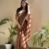 Dazzling Brown Color Pure Soft Organza Embroidery Zari Saree