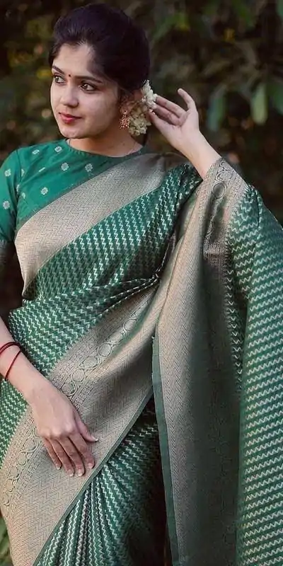 DDF PAYAL GreenColor Soft Lichi Silk Ordinary Design Rich Pallu Saree Casual, Party Wear, Events, Festivals Etc. Expected Delivery 4-6 Working Days 1349/ | Bollywood Sarees, Creative Sarees, Designer Sarees, Embroidered Sarees, Ethnic Saree, Modern Digital sarees, Party Wear Sarees, Sarees