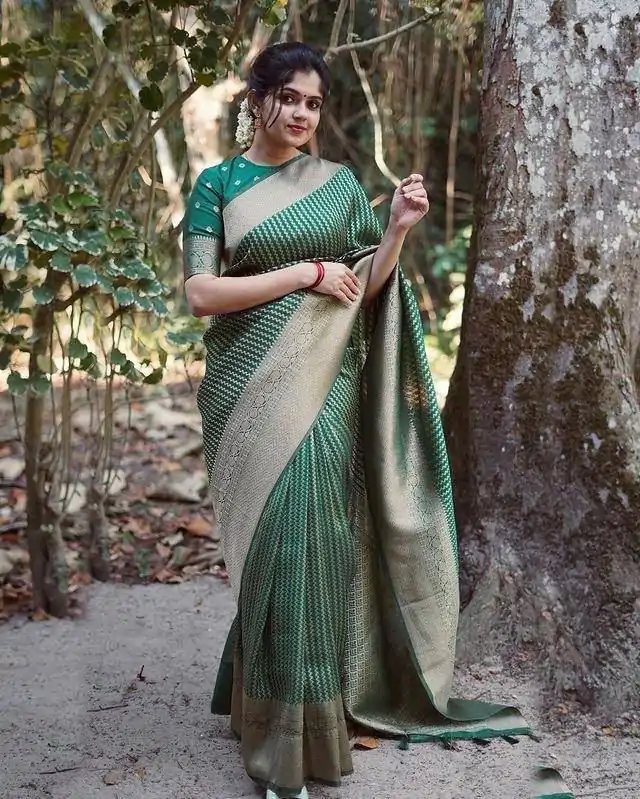 DDF PAYAL GreenColor Soft Lichi Silk Ordinary Design Rich Pallu Saree Casual, Party Wear, Events, Festivals Etc. Expected Delivery 4-6 Working Days 1349/ | Bollywood Sarees, Creative Sarees, Designer Sarees, Embroidered Sarees, Ethnic Saree, Modern Digital sarees, Party Wear Sarees, Sarees