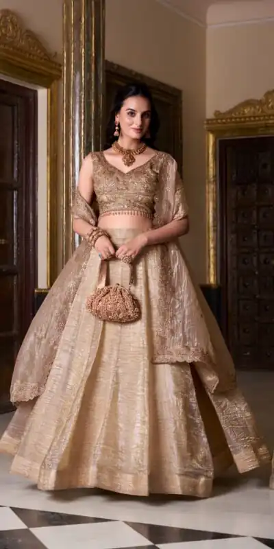 LNB 1430 Chiku Color Gold Crush Plain Canvas Lehenga Choli Wedding, Party, Festive, Events Etc. Delivery 4-6 Working Days Rs 3199 | Bollywood Lehenga, Creative Lehenga, Designer Lehenga, Embroidered Lehenga, Lehenga, Party Wear Lehenga