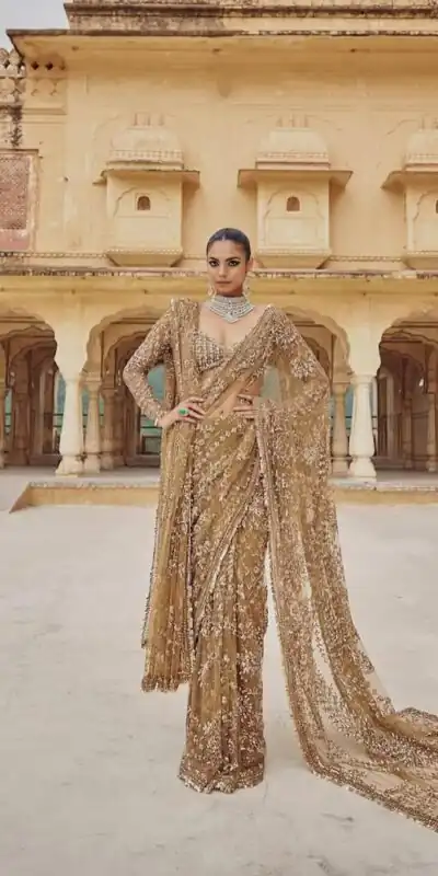 DF 3441 Chiku Color Mono Net Heavy 5mm Sequins Embroidery Work Saree Casual, Wedding, Festive, Events . Expected Delivery  4-6 Working Days @1799/- only                                                                                | Bollywood Sarees, Creative Sarees, Designer Sarees, Embroidered Sarees, Ethnic Saree, Modern Digital sarees, Party Wear Sarees, Sarees