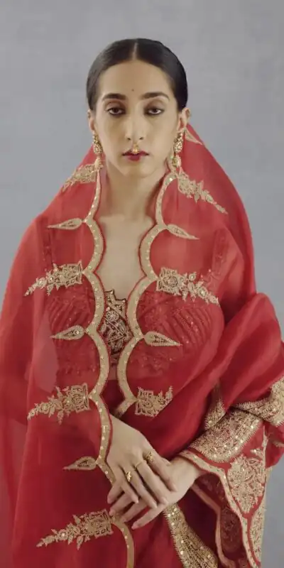 DF Queen Red Organza Tissue Saree with Sequins Work & Embroidery. Festive Deal ₹2499. Delivery 4-6 Working Days. Shop now. | Bollywood Sarees, Creative Sarees, Designer Sarees, Embroidered Sarees, Ethnic Saree, Modern Digital sarees, Party Wear Sarees, Sarees