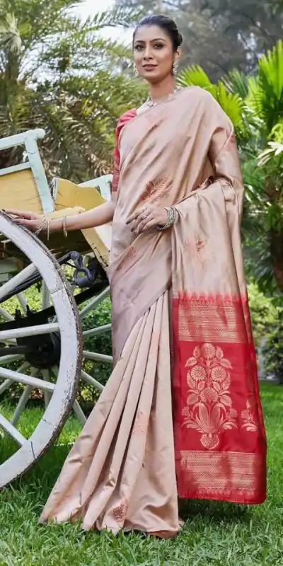 KPR 257 Chiku Soft Lichi Silk Saree with Lace Work & Lace Border. Now at just ₹1349. Delivery 4-6 Working Days. Shop now. | Bollywood Sarees, Creative Sarees, Designer Sarees, Embroidered Sarees, Ethnic Saree, Modern Digital sarees, Party Wear Sarees, Sarees