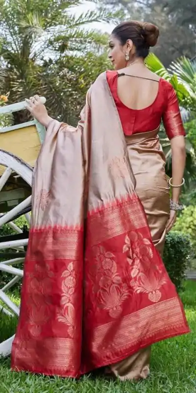 KPR 257 Chiku Soft Lichi Silk Saree with Lace Work & Lace Border. Now at just ₹1349. Delivery 4-6 Working Days. Shop now. | Bollywood Sarees, Creative Sarees, Designer Sarees, Embroidered Sarees, Ethnic Saree, Modern Digital sarees, Party Wear Sarees, Sarees