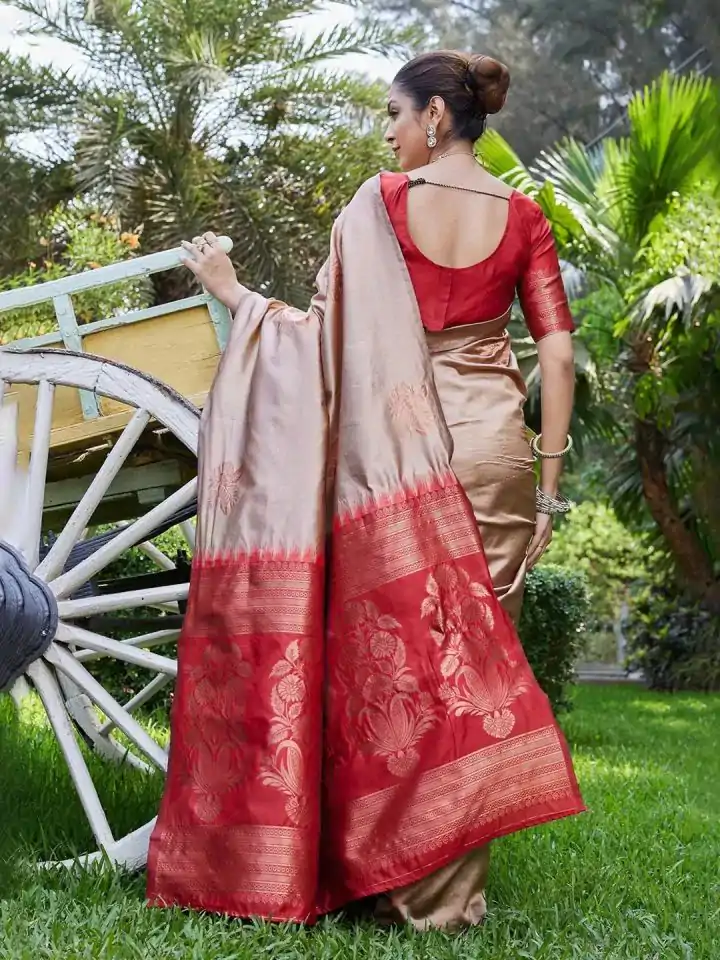 KPR 257 Chiku Soft Lichi Silk Saree with Lace Work & Lace Border. Now at just ₹1349. Delivery 4-6 Working Days. Shop now. | Bollywood Sarees, Creative Sarees, Designer Sarees, Embroidered Sarees, Ethnic Saree, Modern Digital sarees, Party Wear Sarees, Sarees