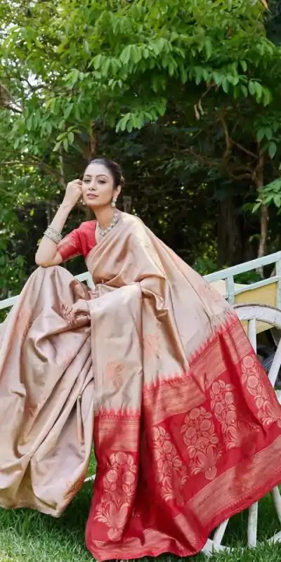 KPR 257 Chiku Soft Lichi Silk Saree with Lace Work & Lace Border. Now at just ₹1349. Delivery 4-6 Working Days. Shop now. | Bollywood Sarees, Creative Sarees, Designer Sarees, Embroidered Sarees, Ethnic Saree, Modern Digital sarees, Party Wear Sarees, Sarees