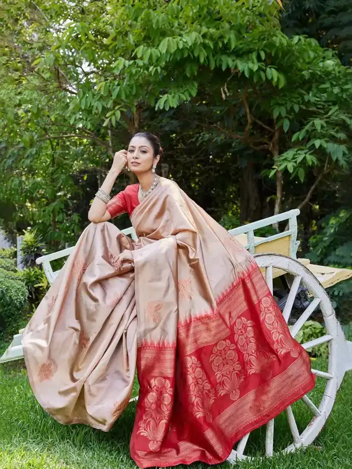 KPR 257 Chiku Soft Lichi Silk Saree with Lace Work & Lace Border. Now at just ₹1349. Delivery 4-6 Working Days. Shop now. | Bollywood Sarees, Creative Sarees, Designer Sarees, Embroidered Sarees, Ethnic Saree, Modern Digital sarees, Party Wear Sarees, Sarees