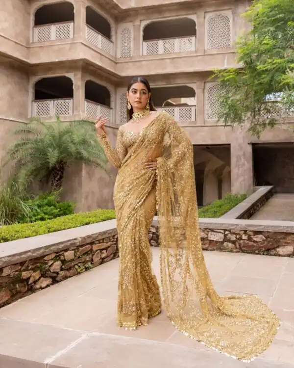 Chiku Nylon Butterfly Net Lace Border Lace Work Saree
