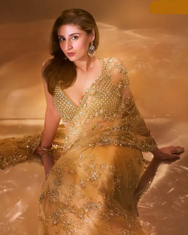 Chiku Nylon Butterfly Net Lace Border Lace Work Saree