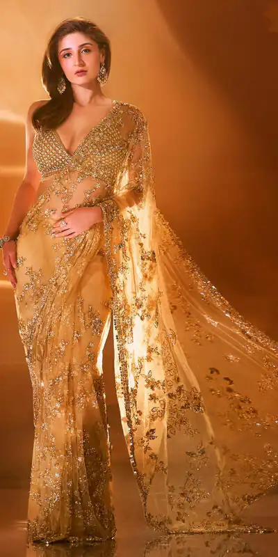 BT 388 Chiku Nylon Butterfly Net Saree with Lace Border & Lace Work. Exclusive Offer ₹1774. Delivery 4-6 Working Days. Shop now. | Bollywood Sarees, Creative Sarees, Designer Sarees, Embroidered Sarees, Ethnic Saree, Modern Digital sarees, Party Wear Sarees, Sarees