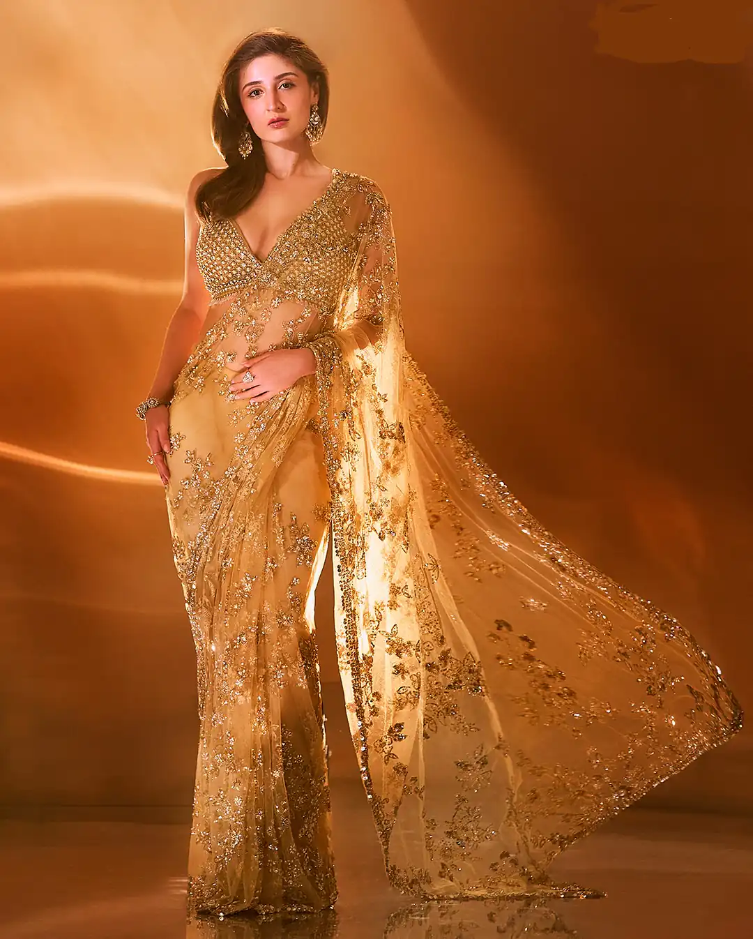 BT 388 Chiku Nylon Butterfly Net Saree with Lace Border & Lace Work. Exclusive Offer ₹1774. Delivery 4-6 Working Days. Shop now. | Bollywood Sarees, Creative Sarees, Designer Sarees, Embroidered Sarees, Ethnic Saree, Modern Digital sarees, Party Wear Sarees, Sarees