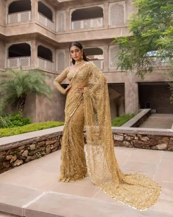 Chiku Nylon Butterfly Net Lace Border Lace Work Saree