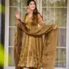 Brown Organza Silk Border Lace Work Salwar Suit