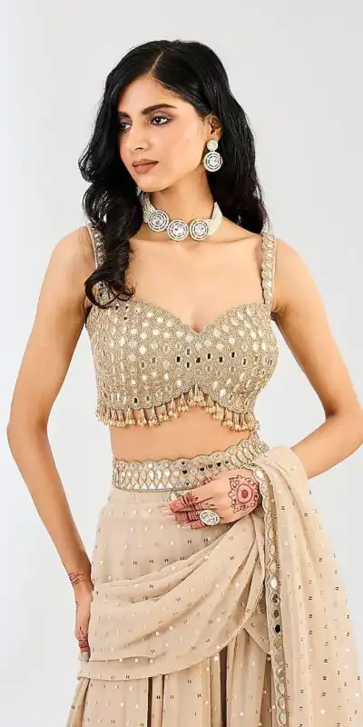 BD 1821 Chiku in Faux Georgette Mirror Work Saree . Wedding, Party, Festive, Events, Grab it for ₹2499. Delivery 4-6 Working Days. Shop now. | Bollywood Sarees, Creative Sarees, Designer Sarees, Embroidered Sarees, Ethnic Saree, Modern Digital sarees, Party Wear Sarees, Sarees