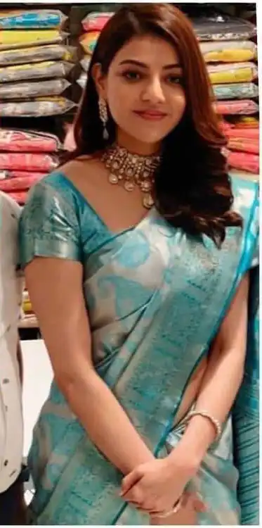 Sky Blue Soft Lichi Silk On All Over Border Saree - Image 5