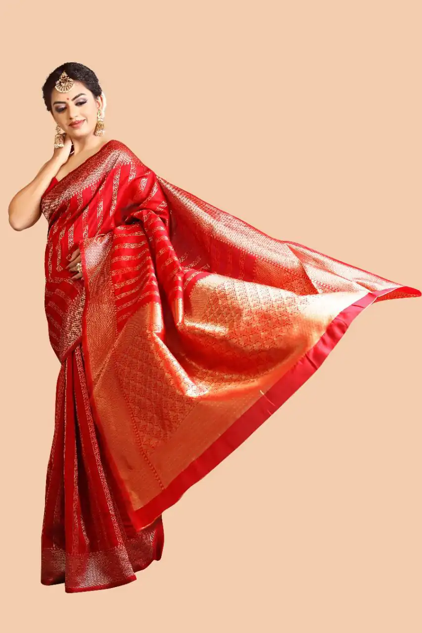 Red Lichi Silk On All Over Border Saree - Image 3