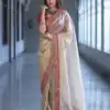 Cream Soft Twil Net Embroidery Work Saree