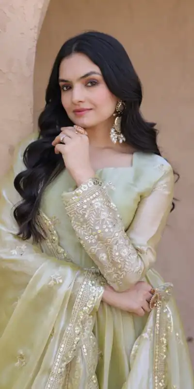 Alternative view of Perfect Light Pista Fendi Silk Embroidery Zari Work Gown