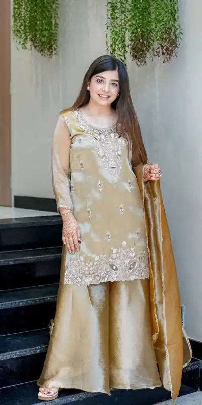 DC 114 Chiku Fandy Satin Salwar Suit with Embroidery Work & Lace Work. Exclusive Offer ₹1899. Delivery 4-6 Working Days. Shop now. | Jump Suits, Straight Suits, Casual Suits, Creative suits, Designer Suits, Palazzo Suits, Party Wear Suits, Patiala Suits, Salwar suit
