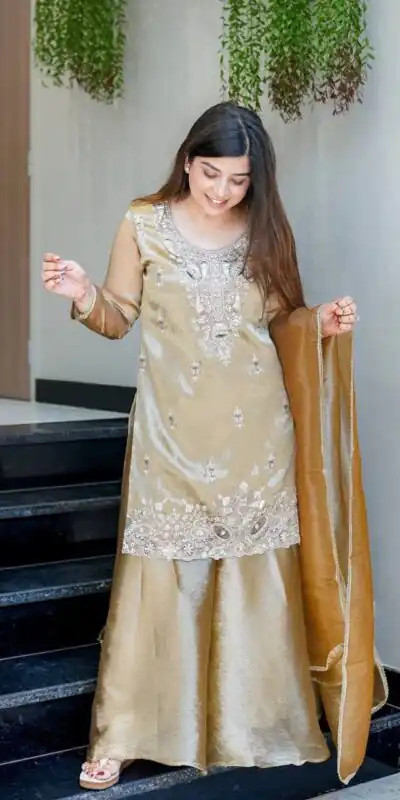 DC 114 Chiku Fandy Satin Salwar Suit with Embroidery Work & Lace Work. Exclusive Offer ₹1899. Delivery 4-6 Working Days. Shop now. | Jump Suits, Straight Suits, Casual Suits, Creative suits, Designer Suits, Palazzo Suits, Party Wear Suits, Patiala Suits, Salwar suit