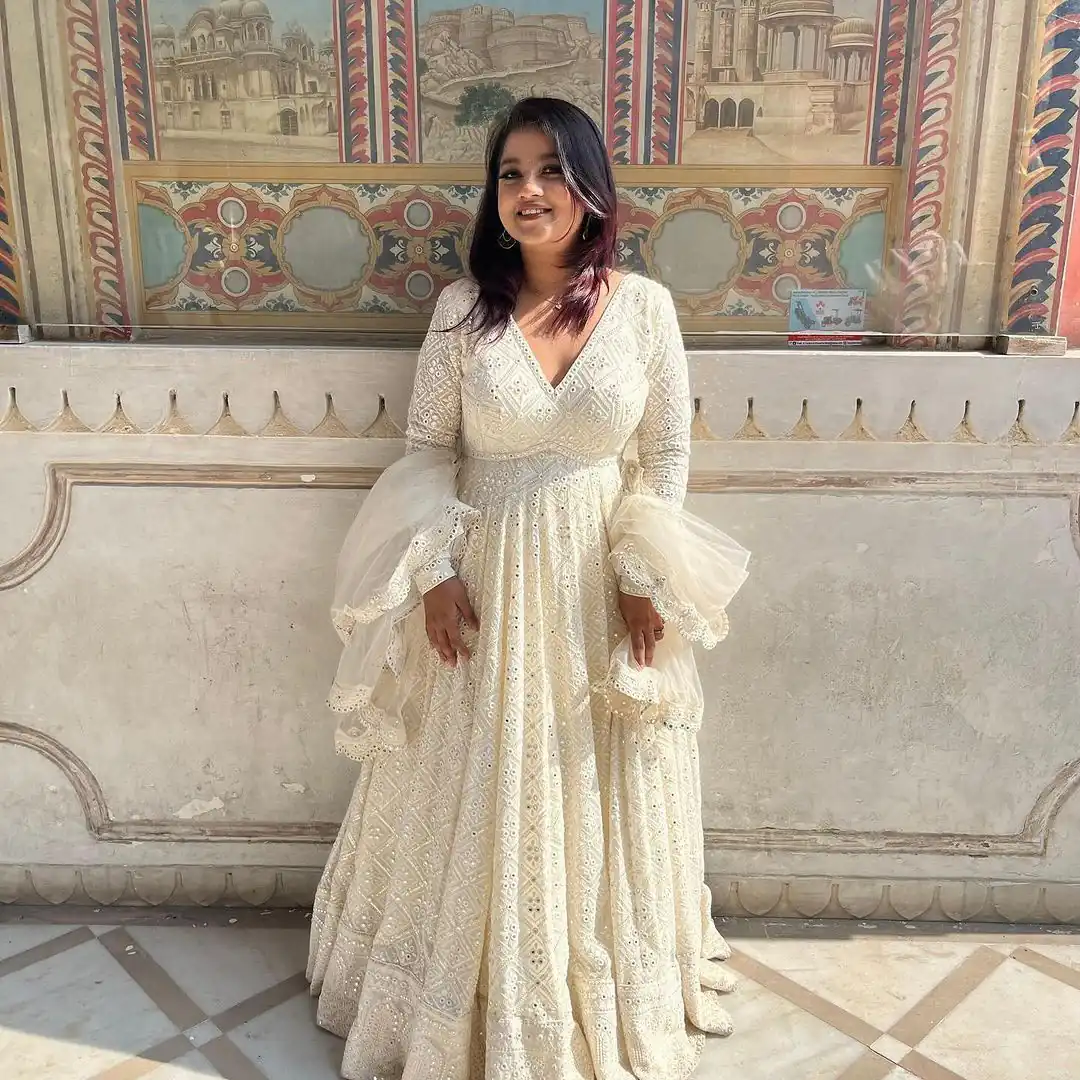 Aglow White Fox Georgette Embroider Work Gown