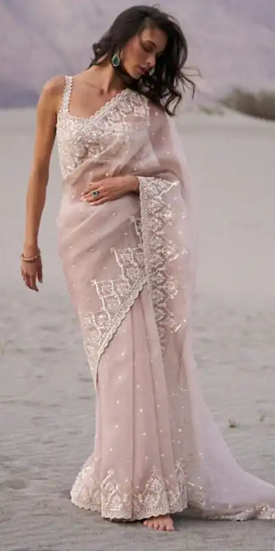 Fancy Off White Tabby Organza Sequins Work Saree