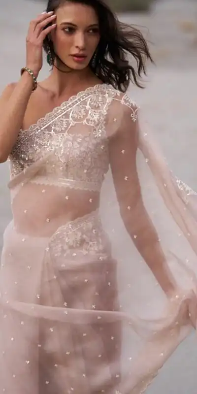 JR 650 in Off White Tabby Organza Sequins Work & Embroidery Work Saree . Available at ₹1899 only. Delivery 4-6 Working Days. Shop now. | Bollywood Sarees, Creative Sarees, Designer Sarees, Embroidered Sarees, Ethnic Saree, Modern Digital sarees, Party Wear Sarees, Sarees