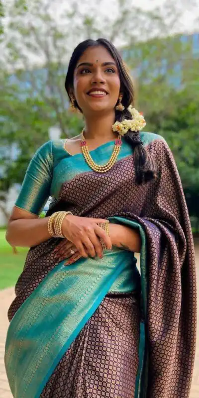 Alternative view of Shiny Brown Lichi Silk Jacquard Border Work Saree