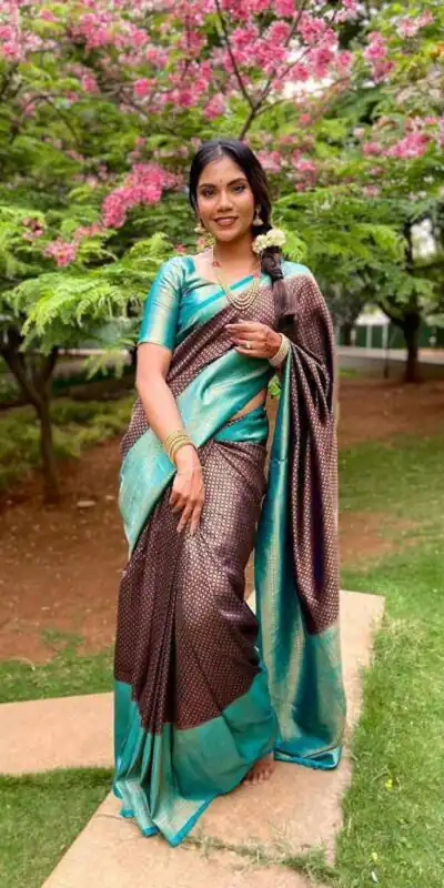 Shiny Brown Lichi Silk Jacquard Border Work Saree