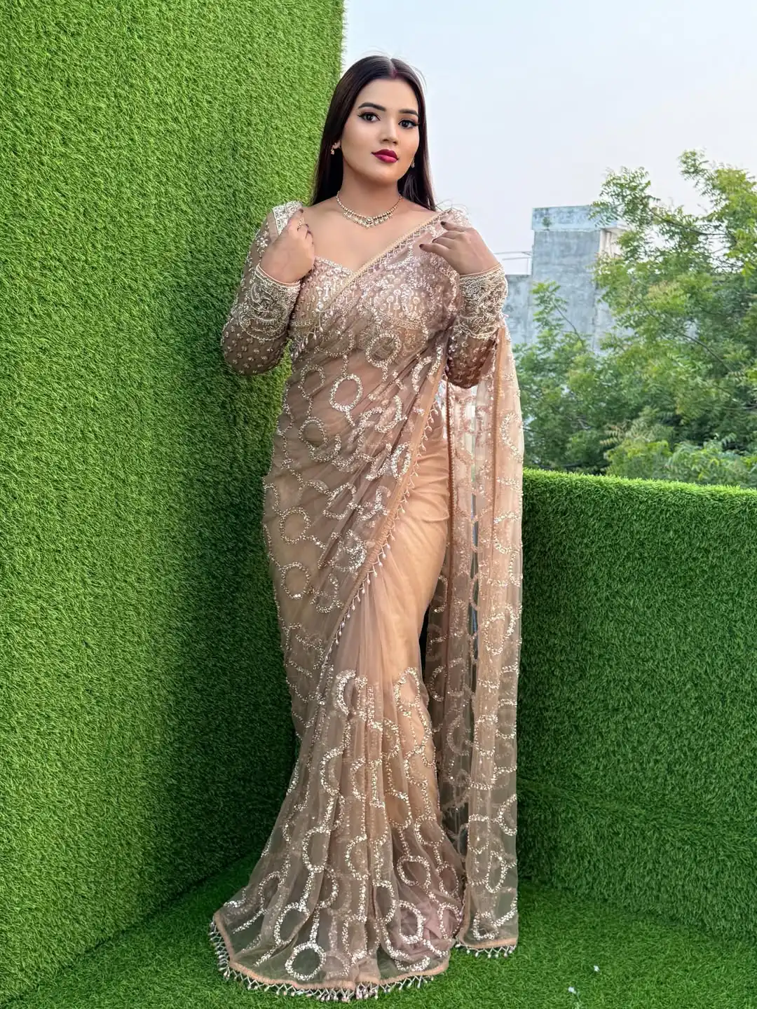Trendy Chiku Butterfly Net Sequence Work Saree - Image 2