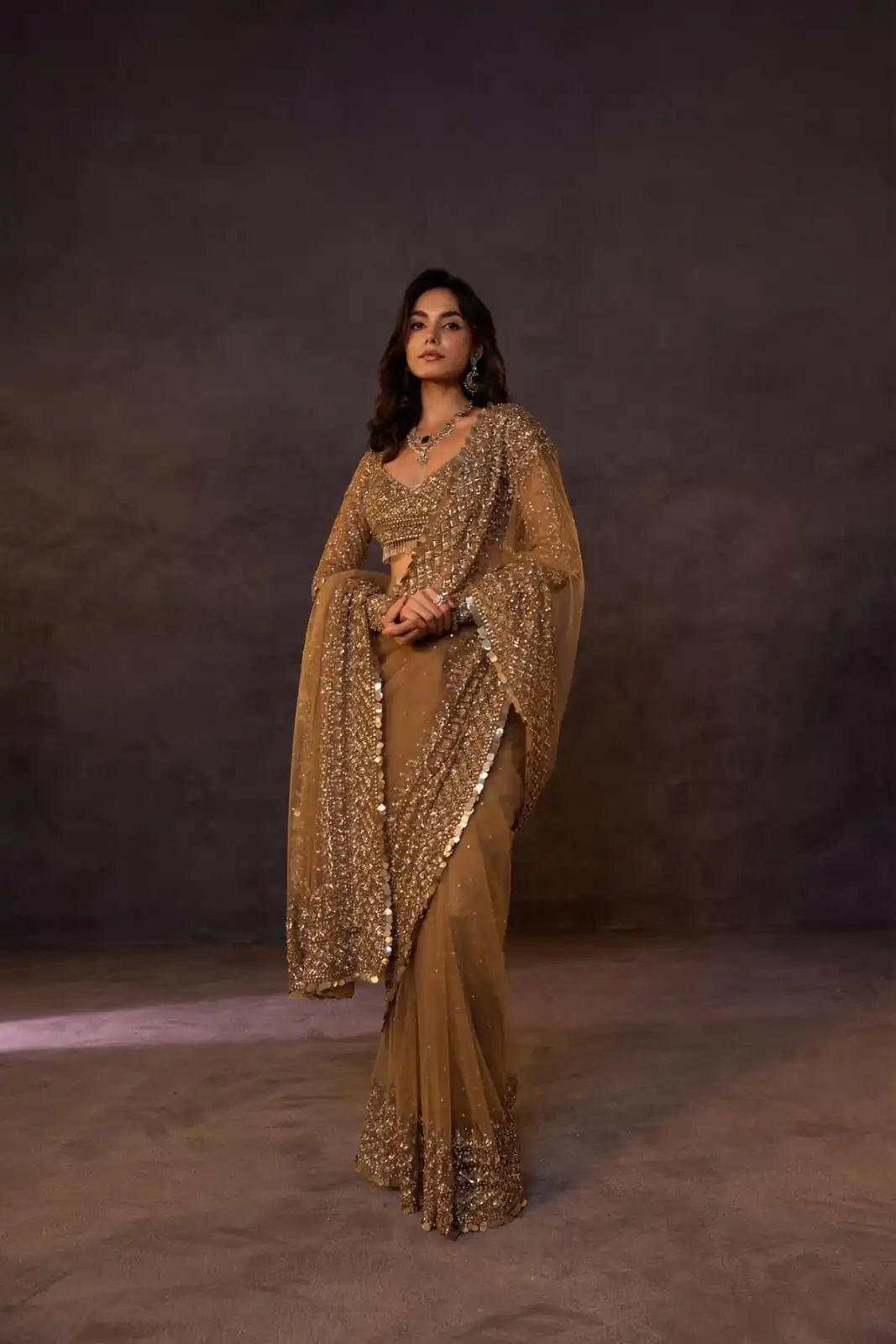 Unique Chiku Butterfly Net Sequence Work Saree - Image 2