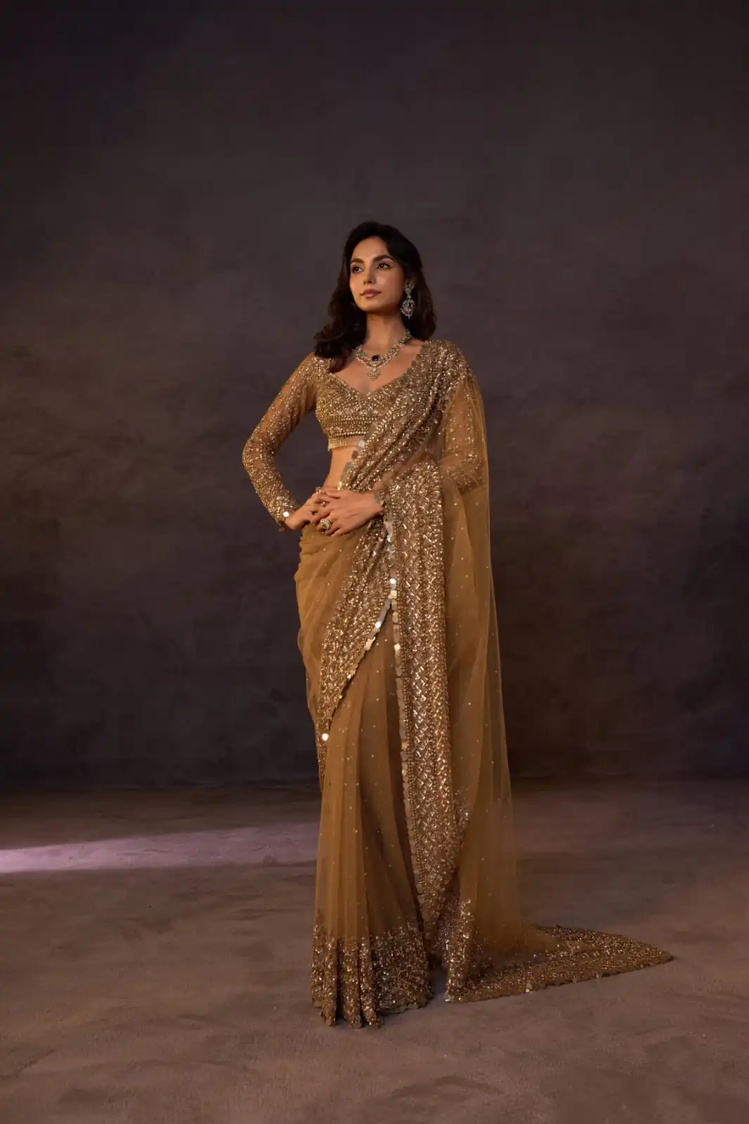 Unique Chiku Butterfly Net Sequence Work Saree